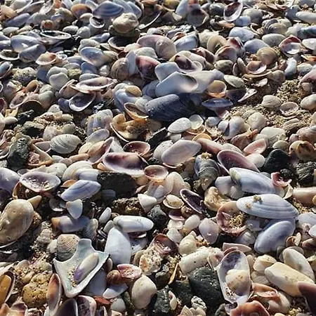Smokini Beach דירה *
